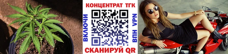 ТГК концентрат  Надым 
