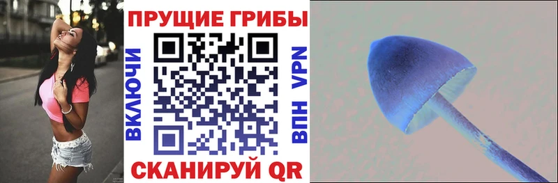 Галлюциногенные грибы Cubensis  магазин  наркотиков  KRAKEN маркетплейс  Надым 